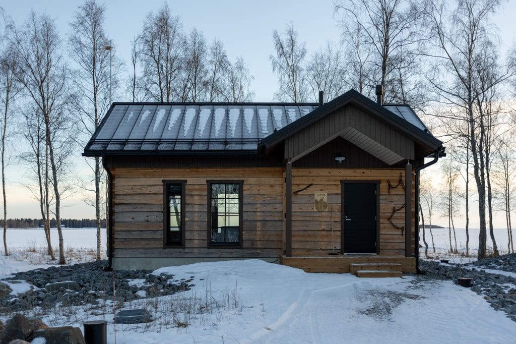 Log cabin among birches on a snowy evening