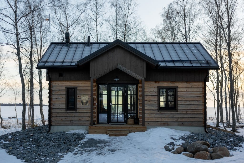 Dark log cabin on a snowy shore among birches