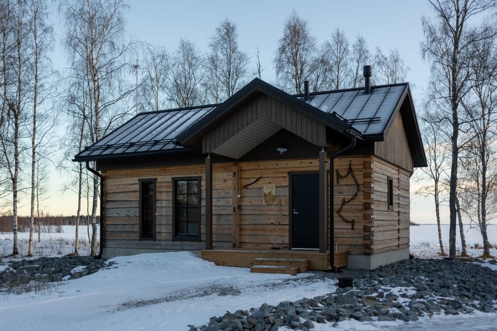 Uitto log cabin among birches in winter