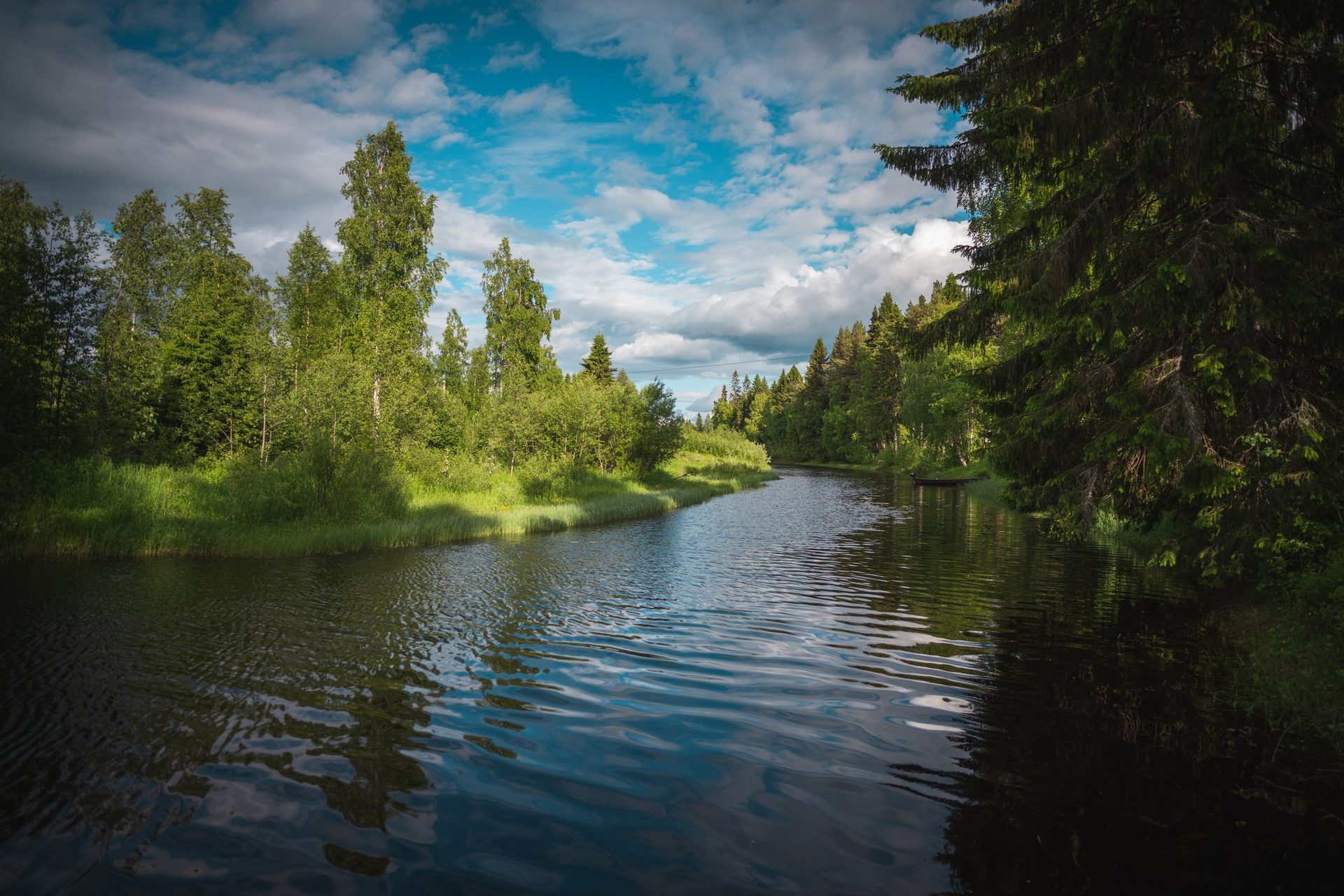 Metsän reunustama joki kesällä