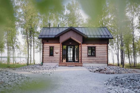 Log cabin in a birch grove with a stone yard in front