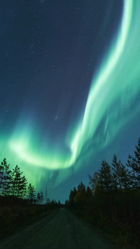 Imagine stepping outside your cabin and seeing the Northern Lights right above you ✨